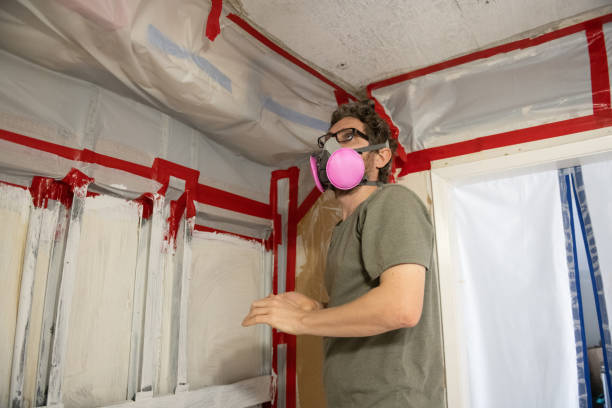  Eton, GA Mold Removal Pros