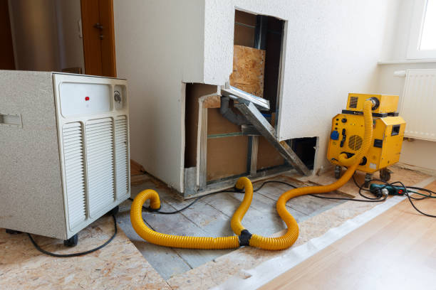Best Mold Removal for HVAC Installations  in Eton, GA