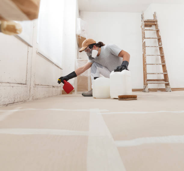 Best Attic Mold Removal  in Eton, GA
