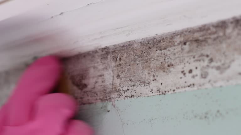 Best Forensic Mold Investigation  in Eton, GA
